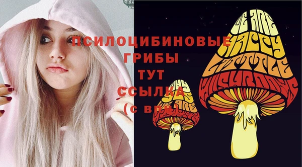 герыч Бородино